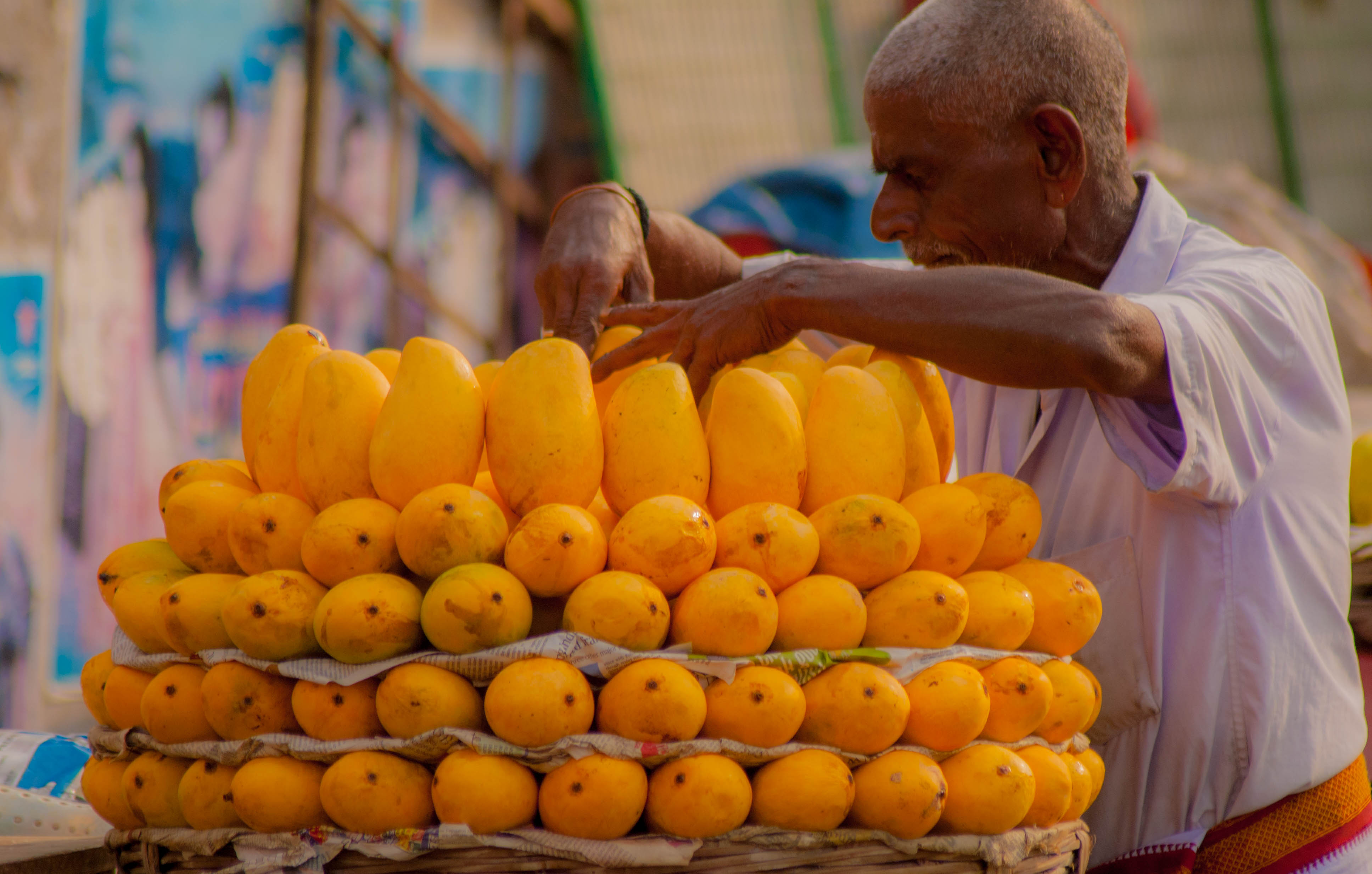 mangoes