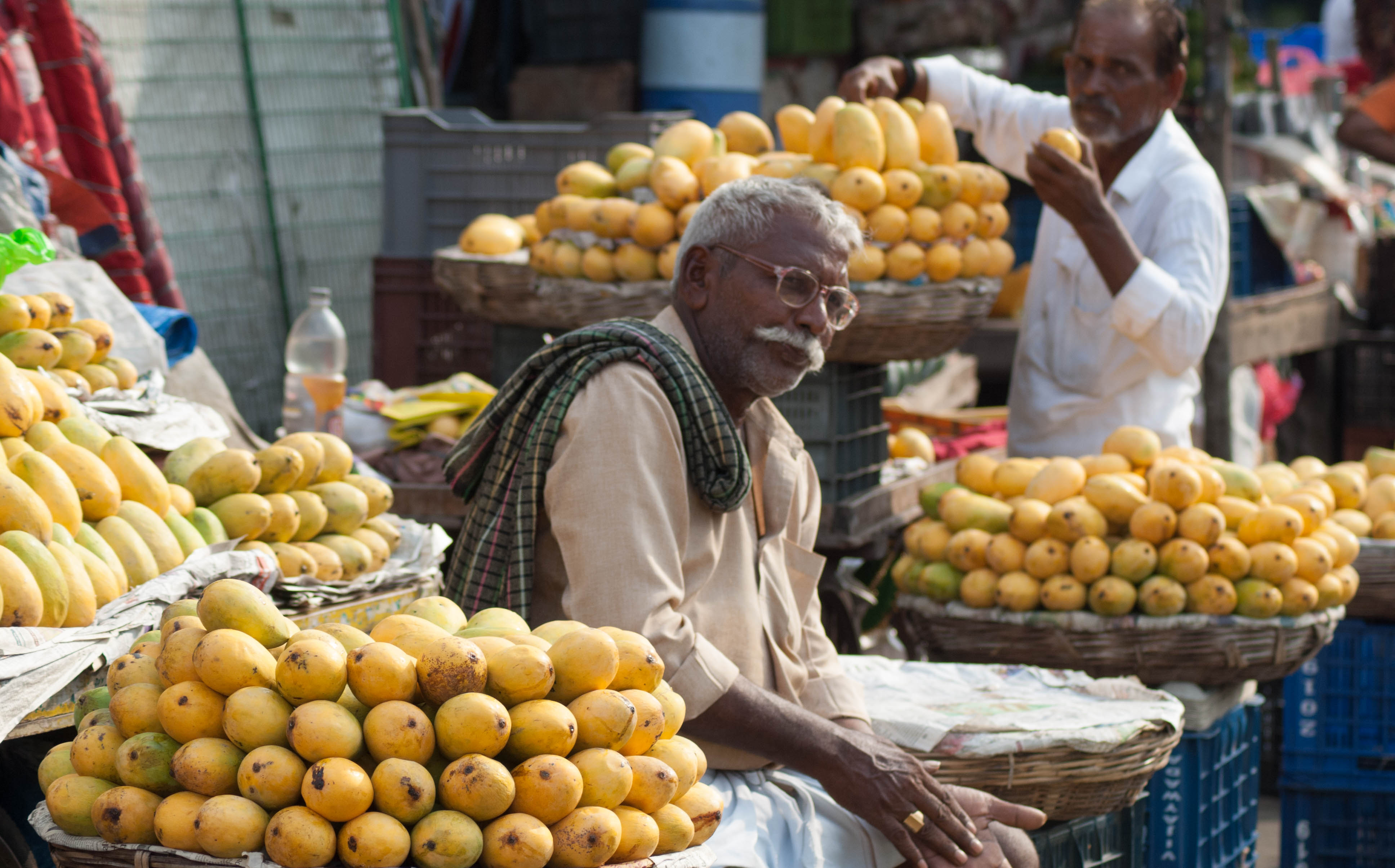 mangoes