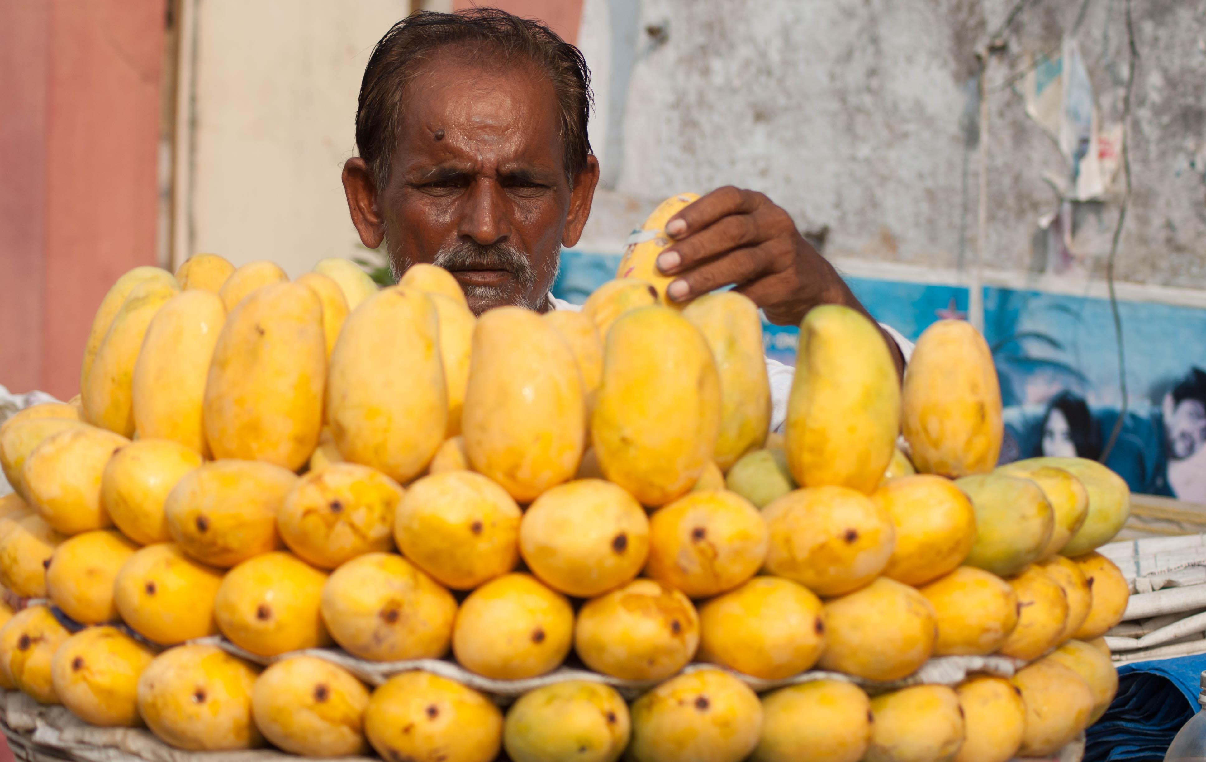 mangoes