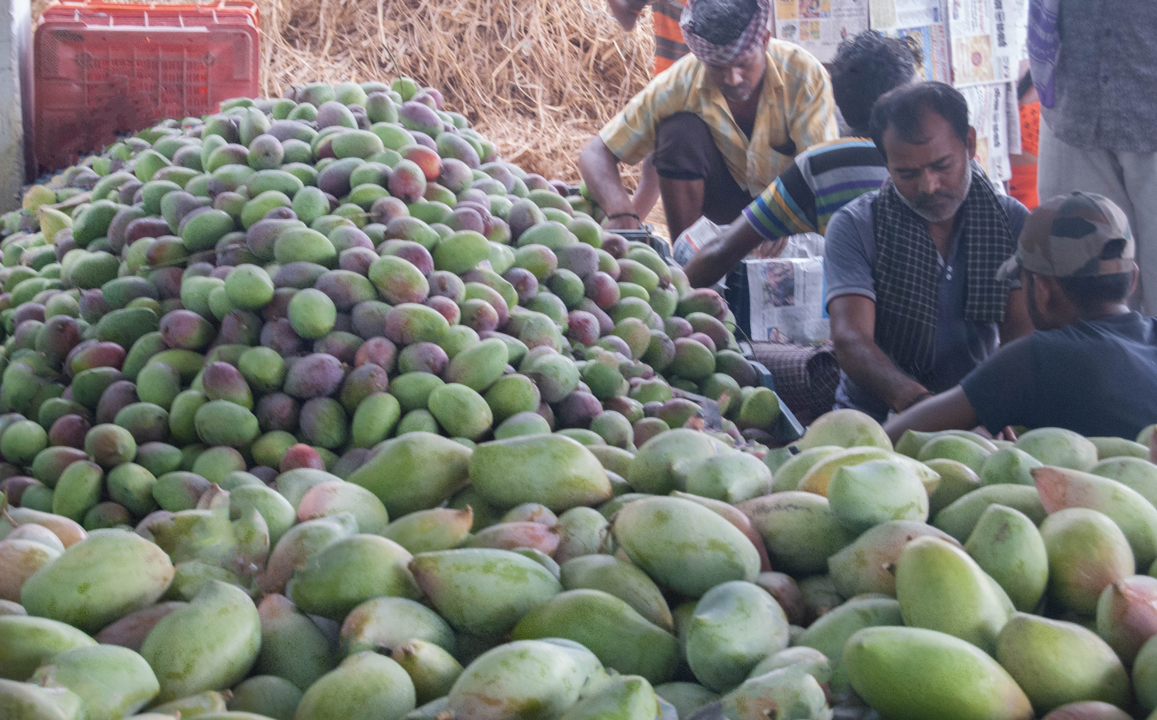 mangoes