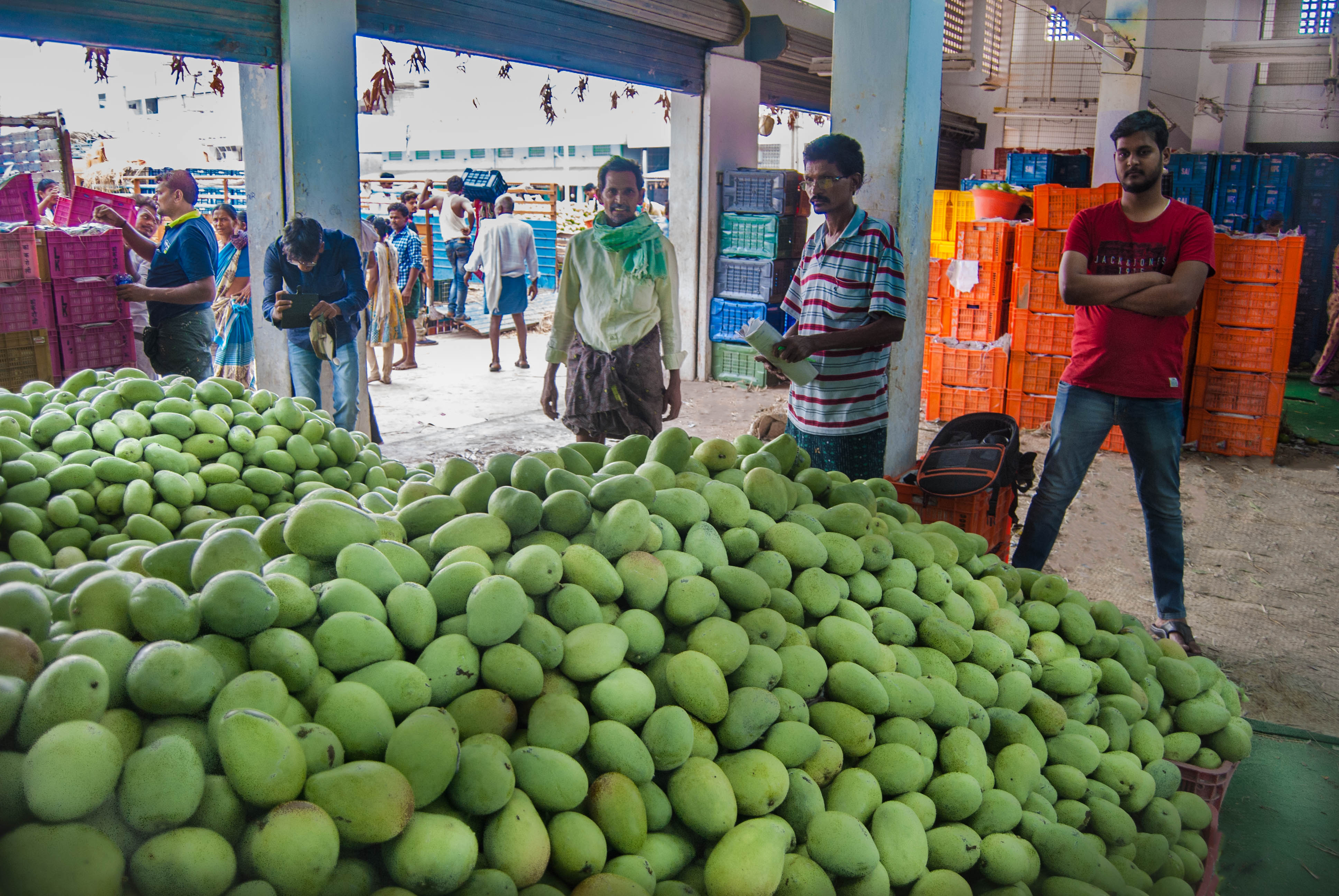 mangoes