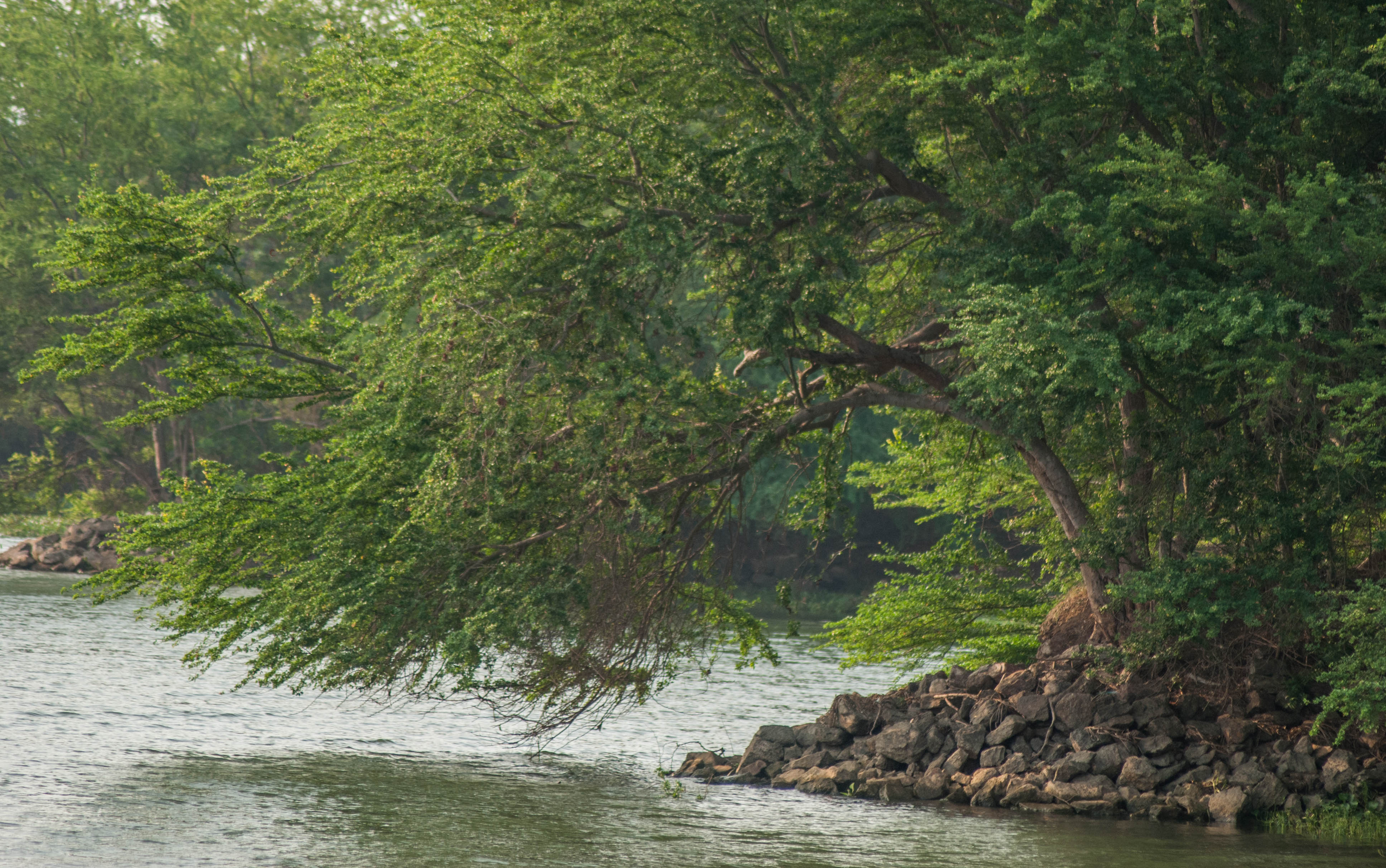 river