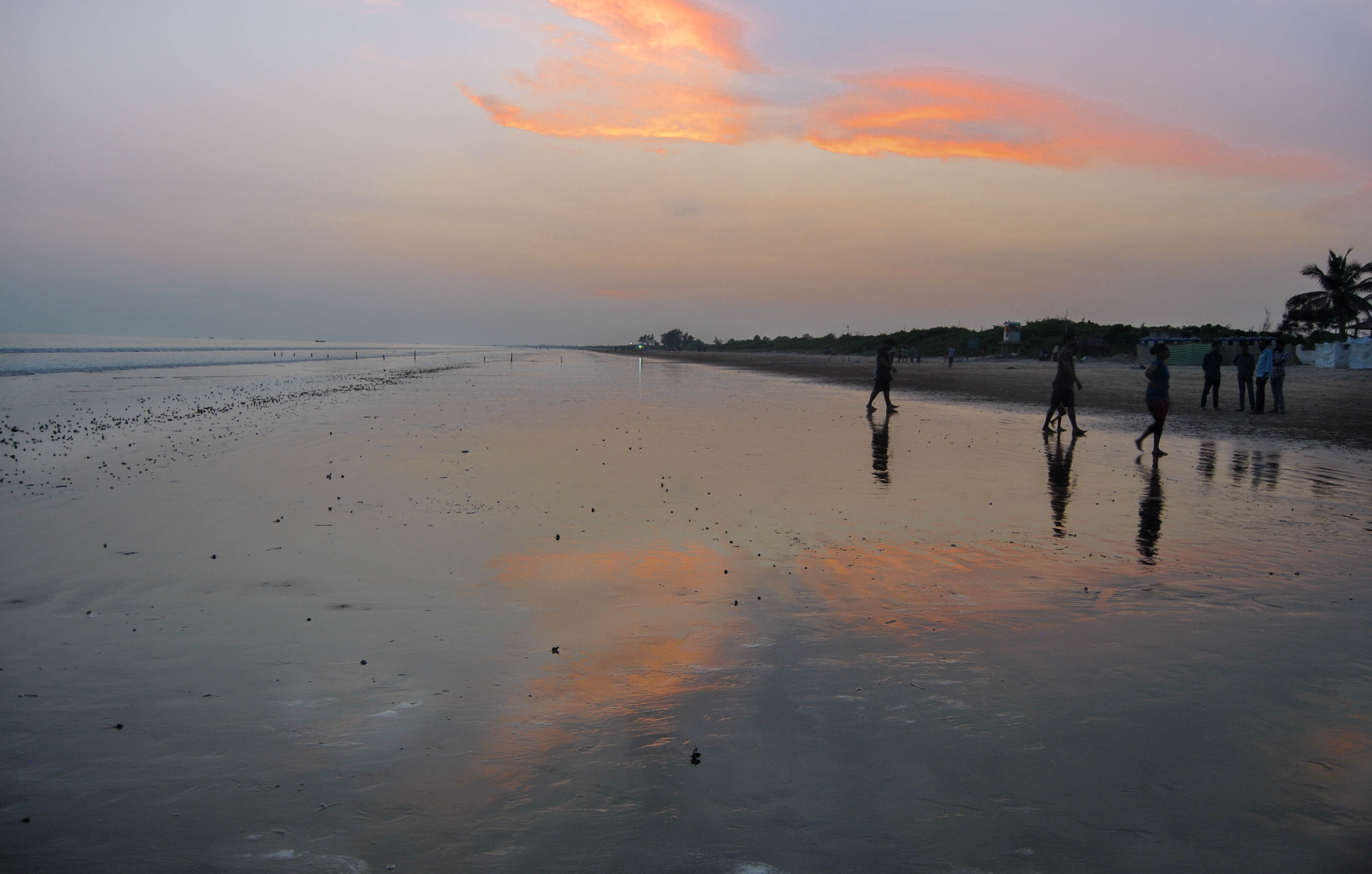 beach