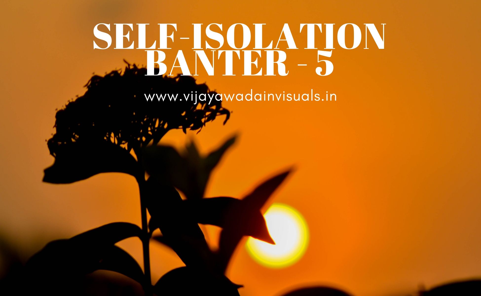 self-isolation