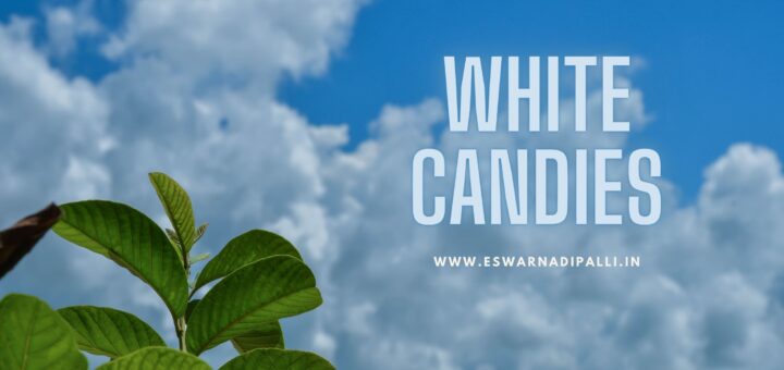 WHITE CANDIES