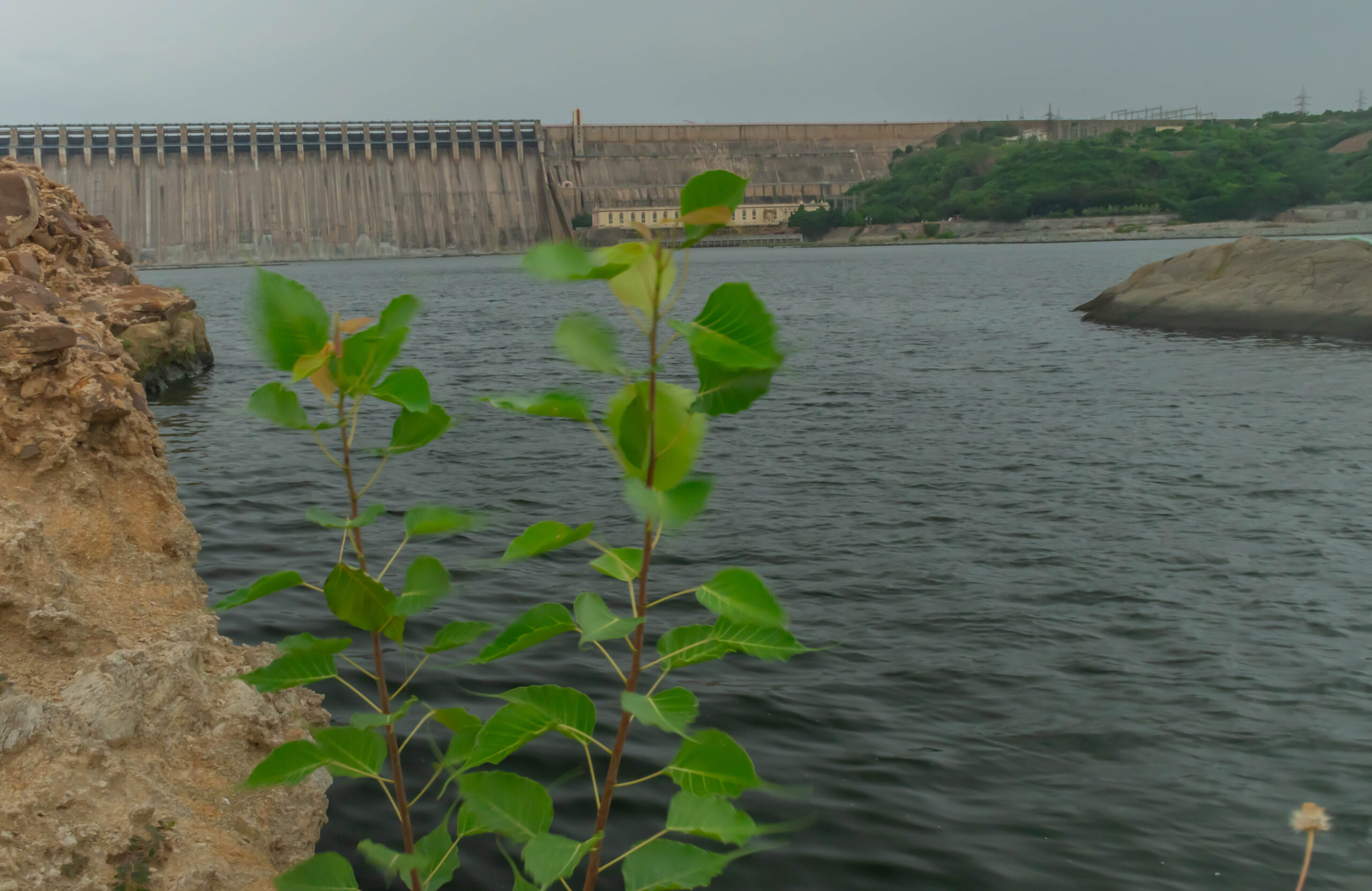 nagarjuna sagar