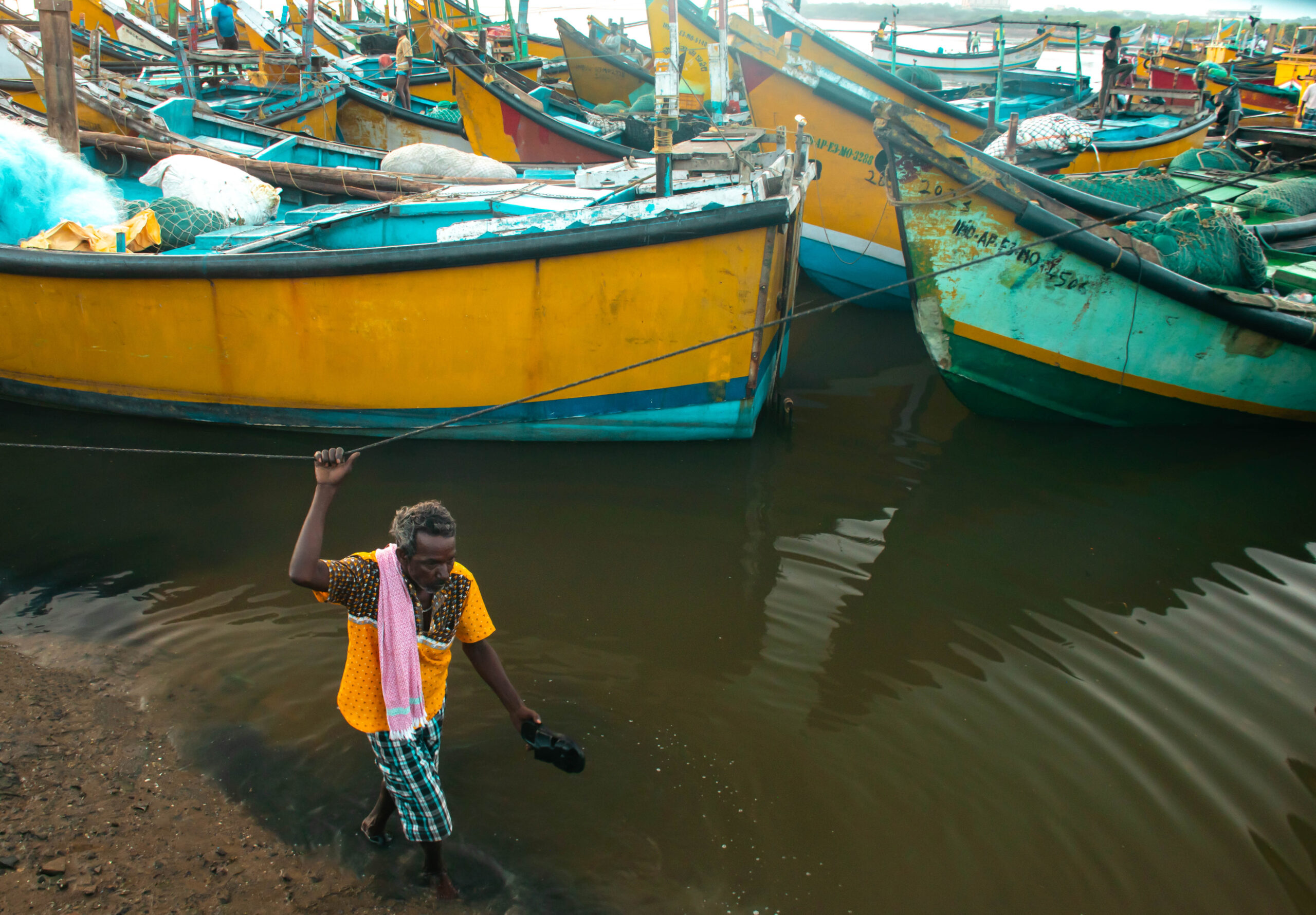 boats