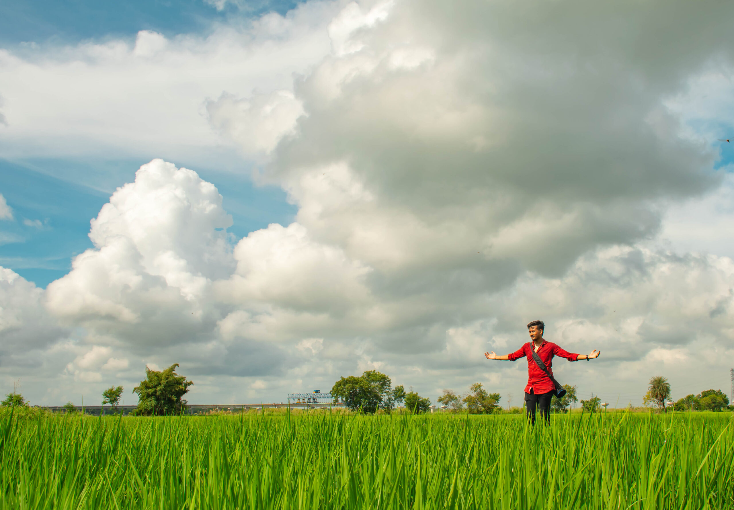 green fields